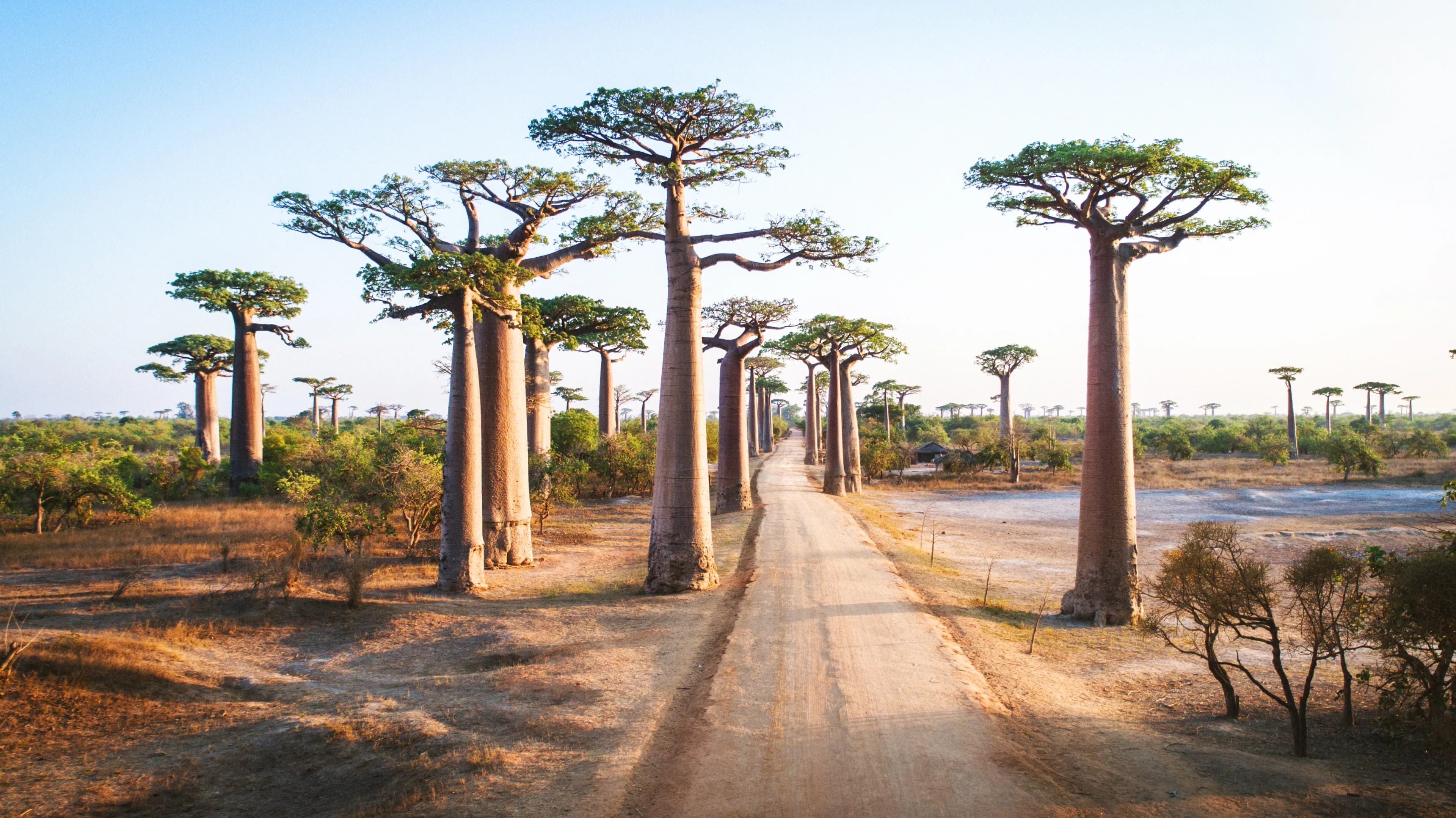 Madagascar