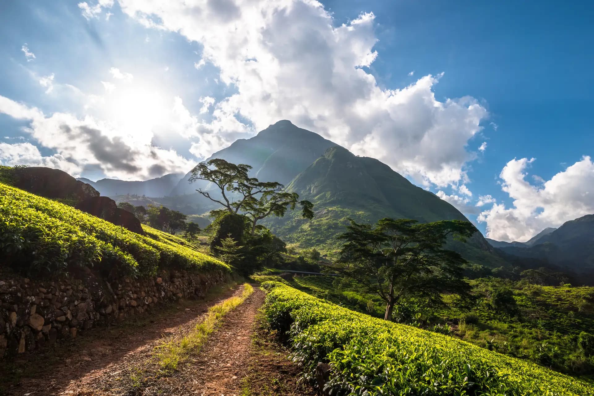Malawi