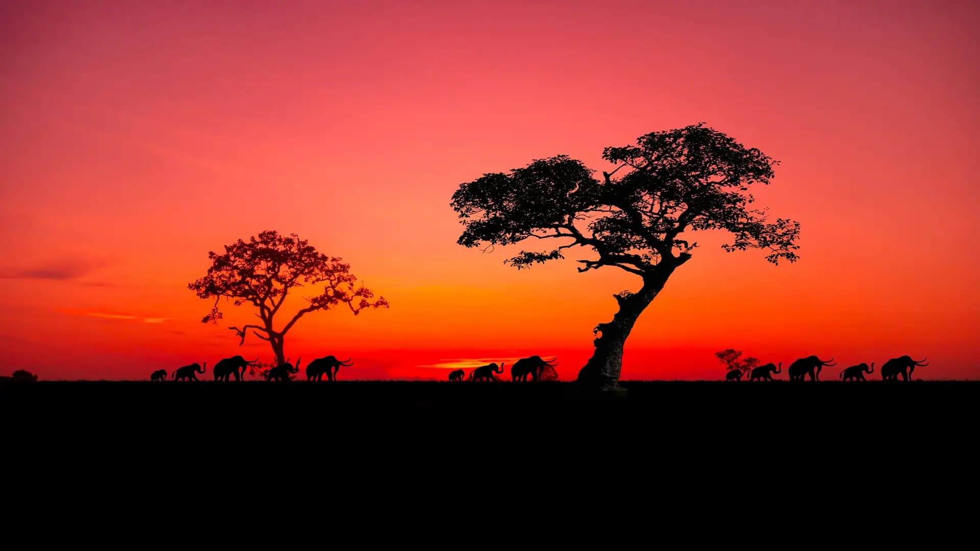 Tanzania