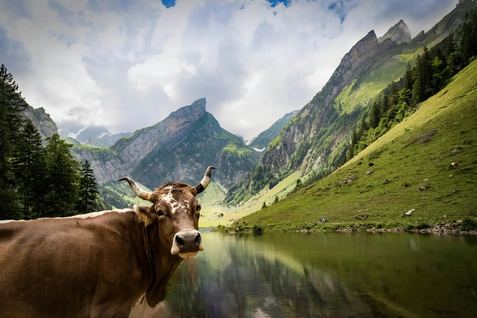 switzerland_3.webp