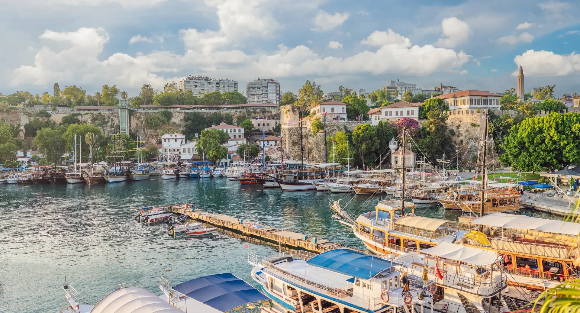 turkey_1.webp