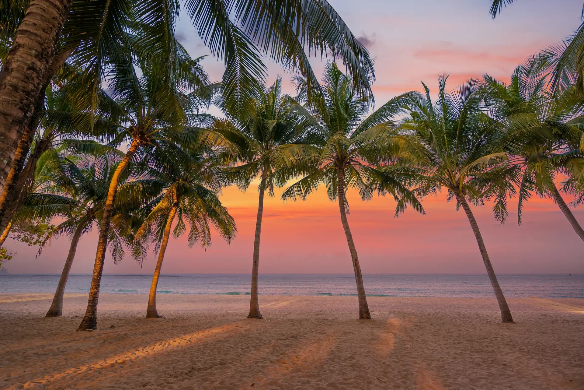 grenada_1.webp