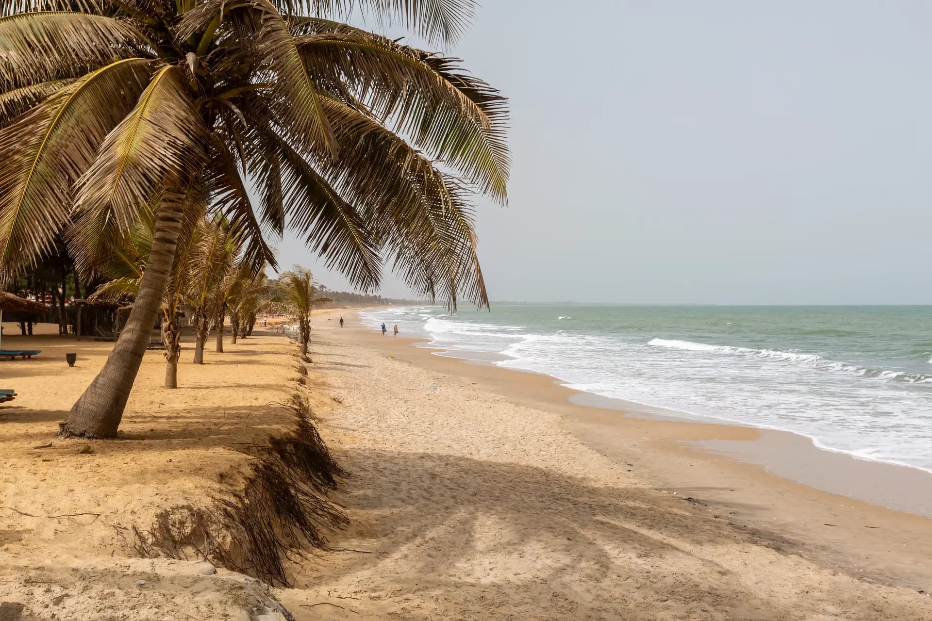 gambia_1.webp