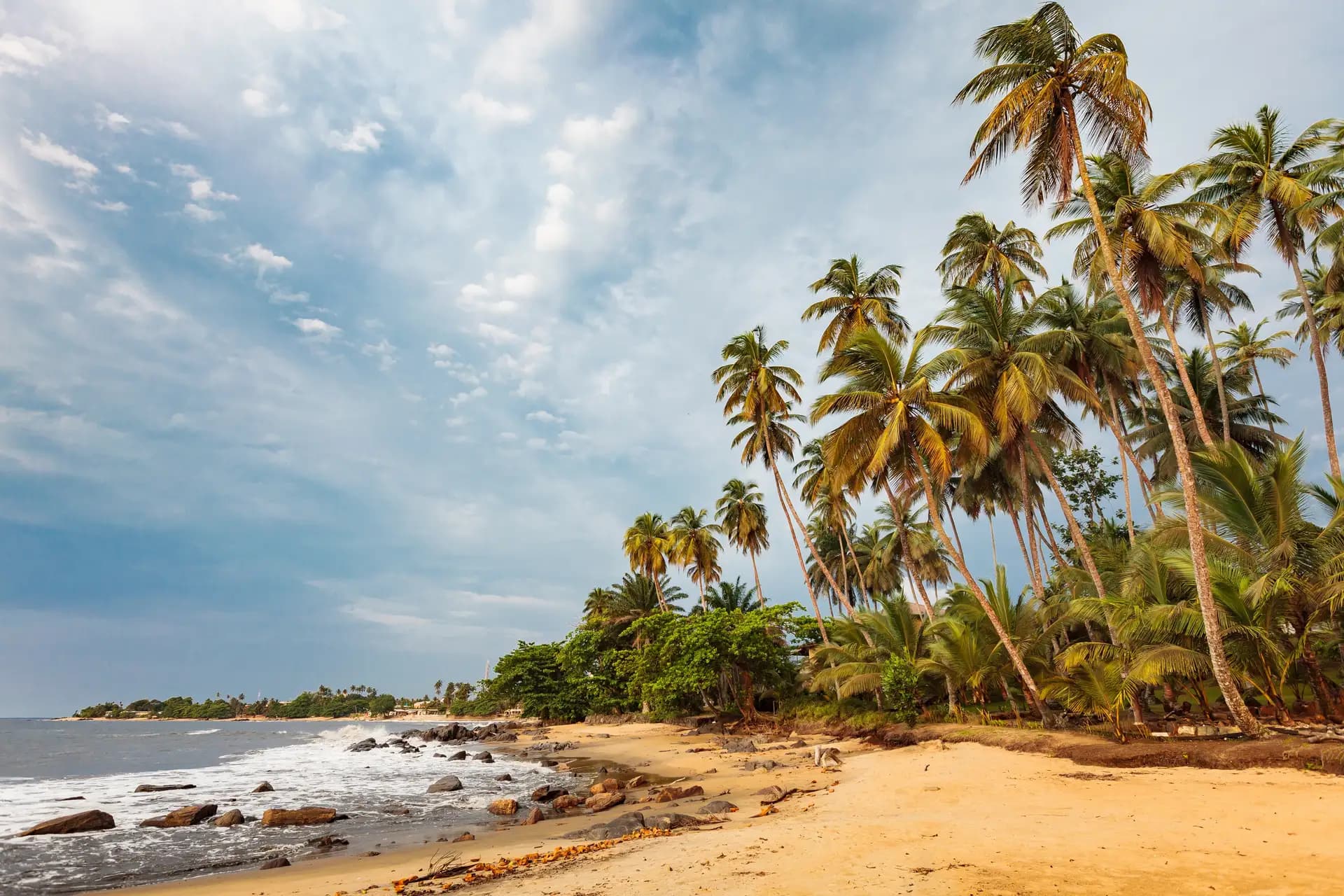 cameroon_1.webp