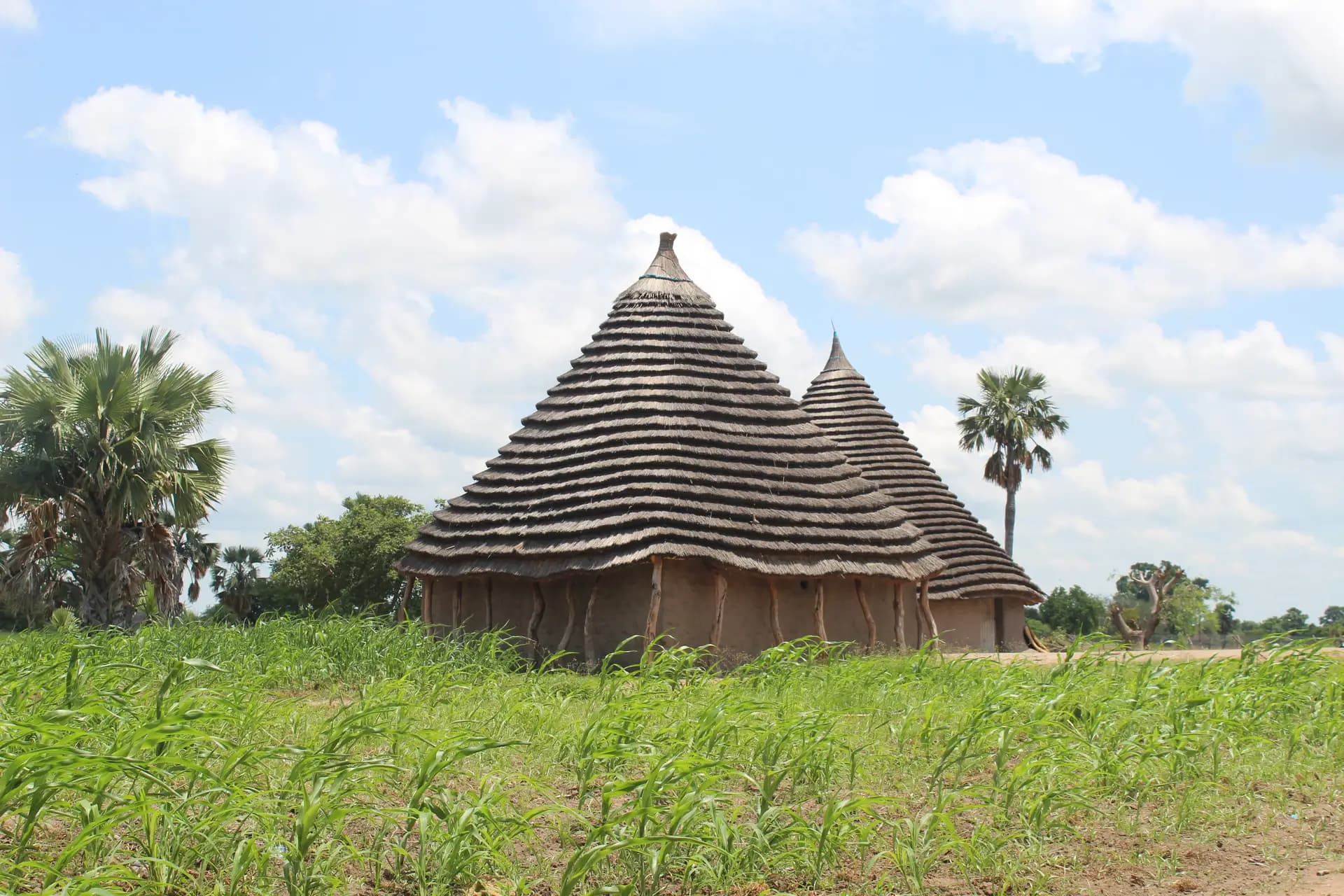 south-sudan_2.webp
